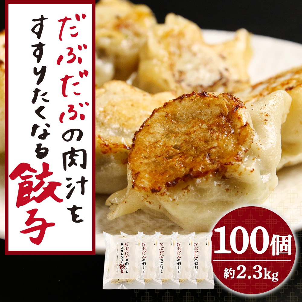 だぶだぶの肉汁をすすりたくなる餃子 100個(20個入×5パック)北海道白老町24000肉豚肉