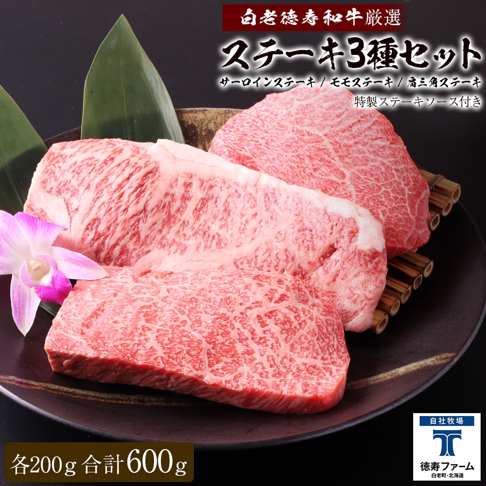 V I Xe[L 3Zbg v600ie200j \[Xt a kCV38000