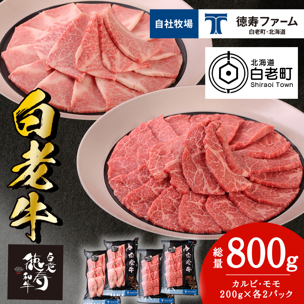 白老牛 焼肉 霜降り カルビ&モモ セット 合計800g(各400g)特製焼肉のたれ付き 和牛 牛肉 北海道 ギフト <徳寿>北海道白老町45000肉牛肉