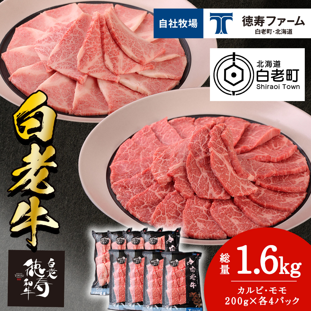 白老牛 焼肉 霜降り カルビ&モモ セット 合計1.6kg(各800g)特製焼肉のたれ付き 和牛 牛肉 北海道 ギフト <徳寿>北海道白老町89500肉牛肉