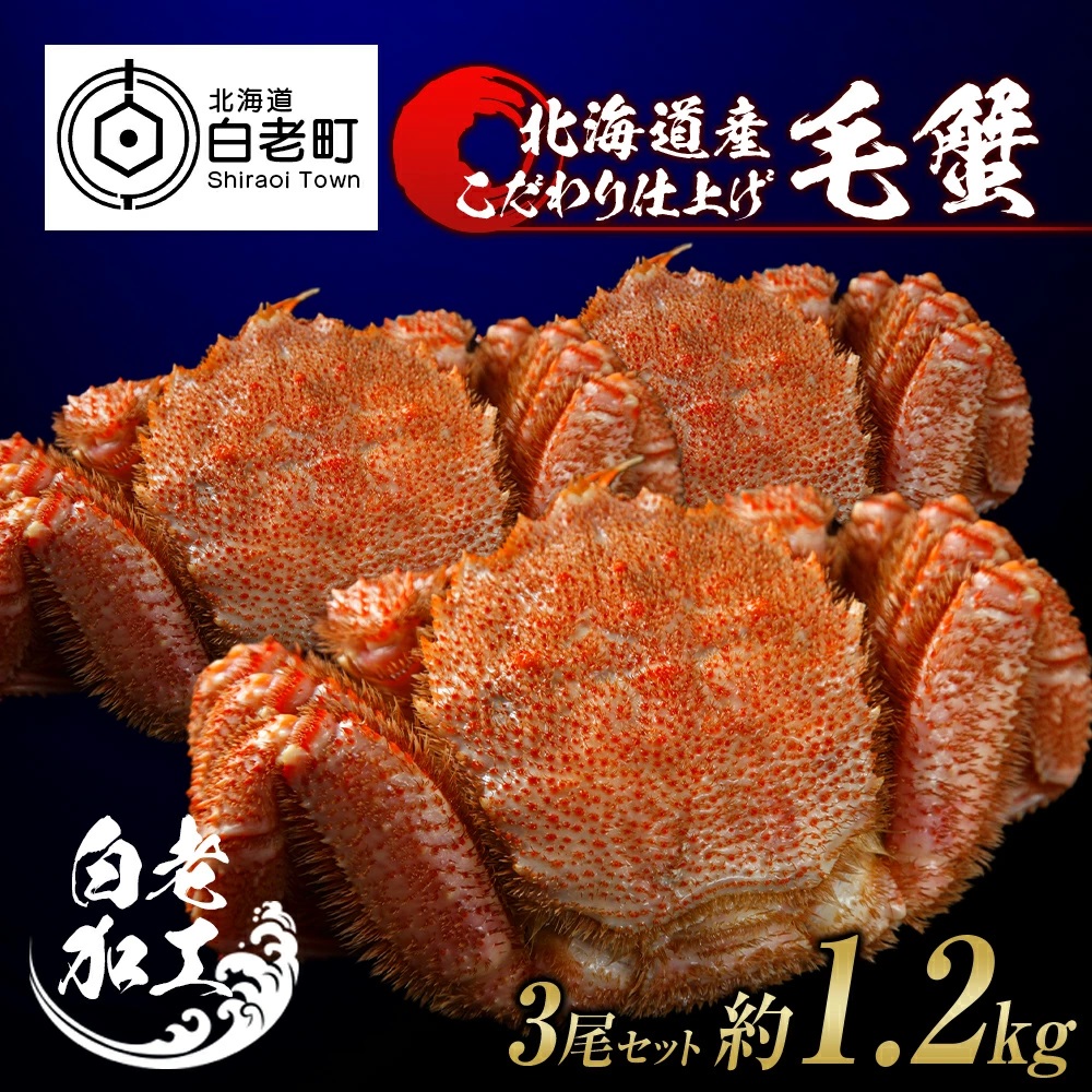 毛蟹 ボイル済み 冷凍 3尾セット 約1.2kg北海道白老町59000魚介・海産物カニ