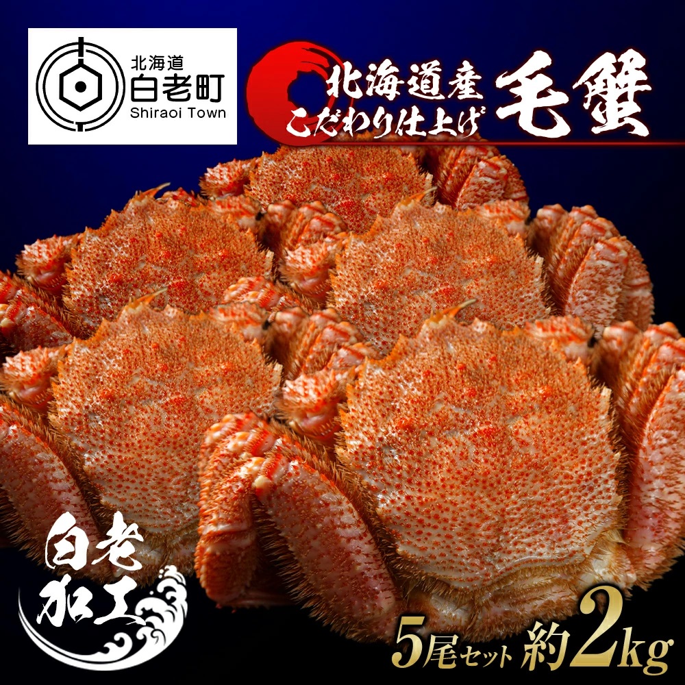 毛蟹 ボイル済み 冷凍 5尾セット 約2kg北海道白老町98500魚介・海産物カニ