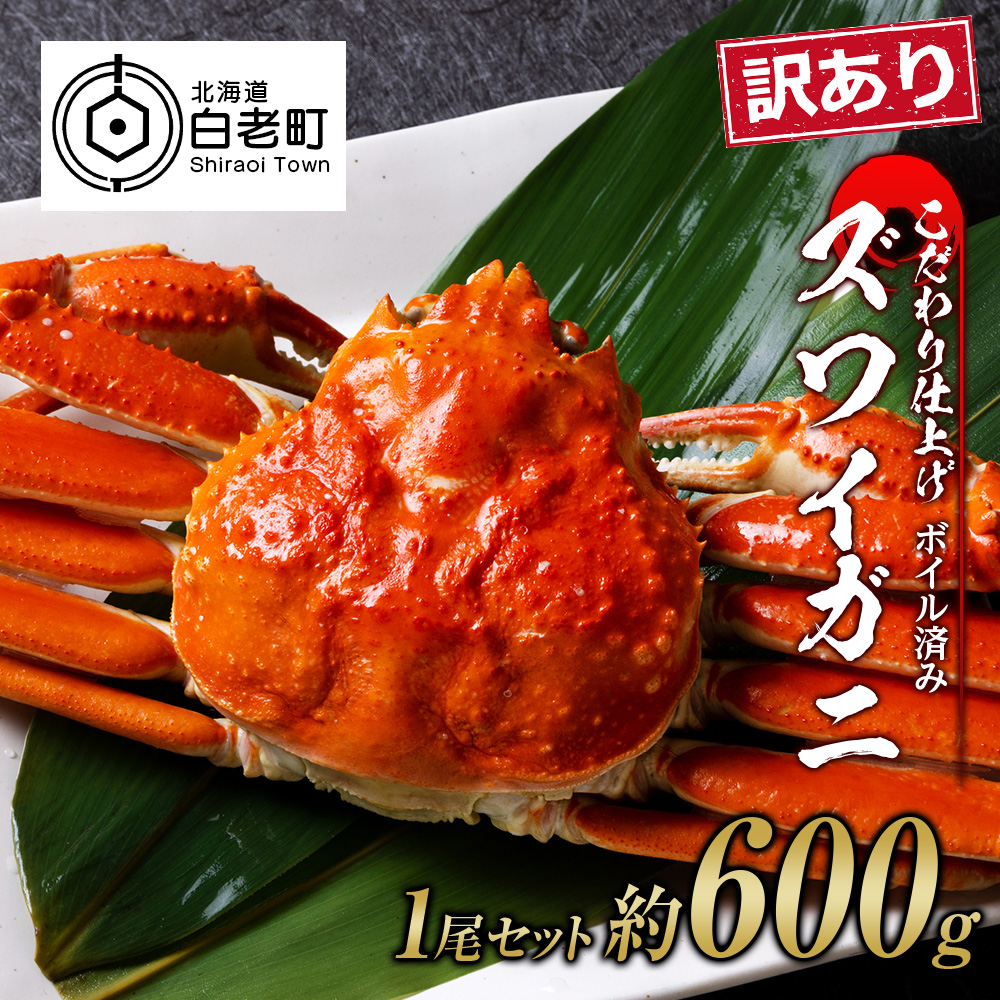 訳あり ズワイガニ 姿 ボイル済み 冷凍 1尾セット 約600g北海道白老町15500魚介・海産物カニ