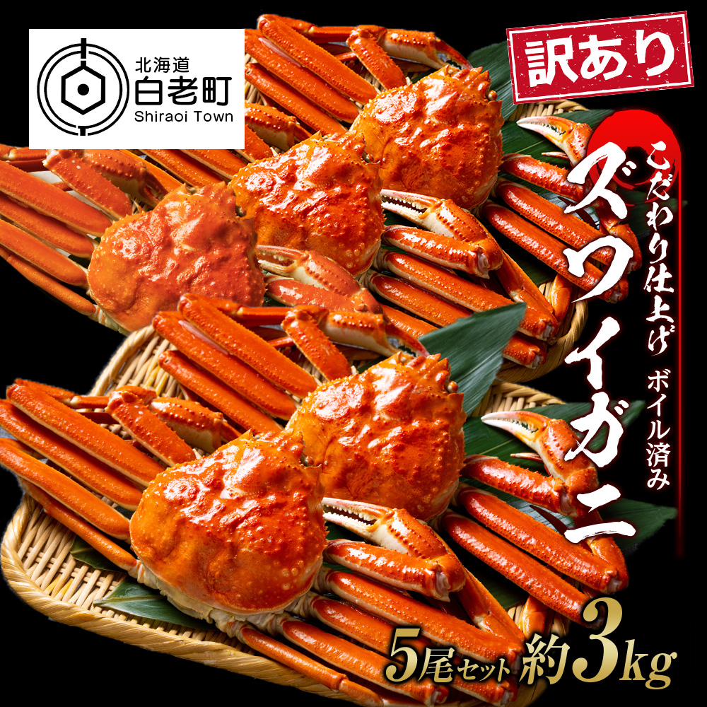訳あり ズワイガニ 姿 ボイル済み 冷凍 5尾セット 約3kg北海道白老町65000魚介・海産物カニ