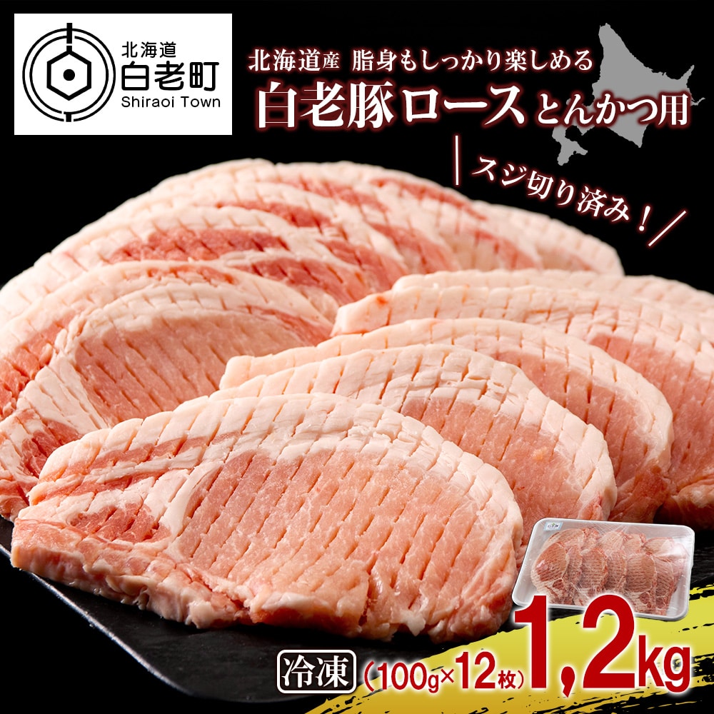 北海道産 白老豚 ロース とんかつ用 100g×12枚北海道白老町10000肉豚肉