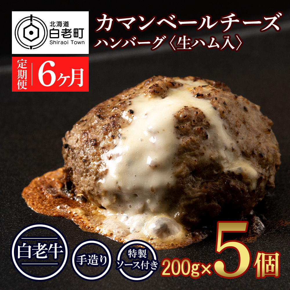 定期便6ヵ月 お楽しみ 北海道産 白老牛 カマンベールチーズハンバーグ 5個セット 冷凍 チーズ イン ハンバーグ北海道白老町100000肉牛肉