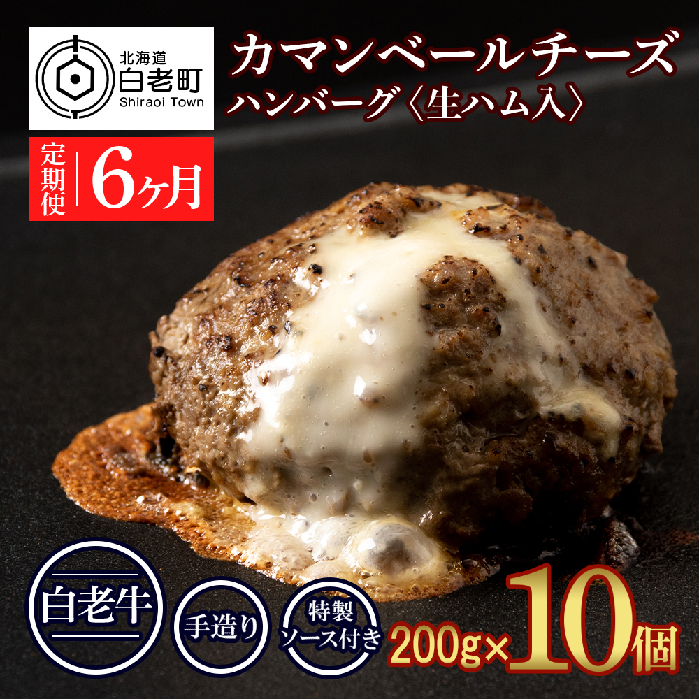 定期便6ヵ月 お楽しみ 北海道産 白老牛 カマンベールチーズハンバーグ 10個セット 冷凍 チーズ イン ハンバーグ北海道白老町200000肉牛肉