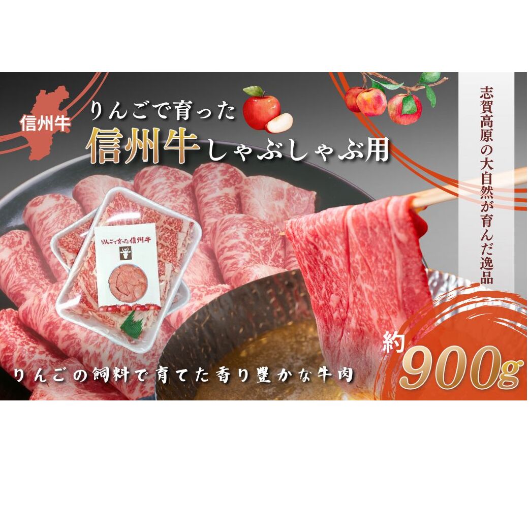 【りんごで育った信州牛】しゃぶしゃぶ用約900g入り 【 牛肉 信州牛 しゃぶしゃぶ 黒毛和牛 A5 肉 お肉 牛 和牛すき焼き すきやき すき焼 焼肉 焼き肉 BBQ バーベキュー ギフト A5等級 冷蔵 長