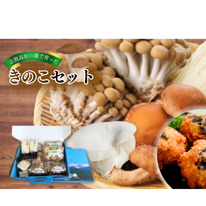 志賀高原の麓で育った きのこセット  きのこ 詰め合わせ セット えのき ぶなしめじ しいたけ 長野長野県山ノ内町11000野菜・きのこきのこ