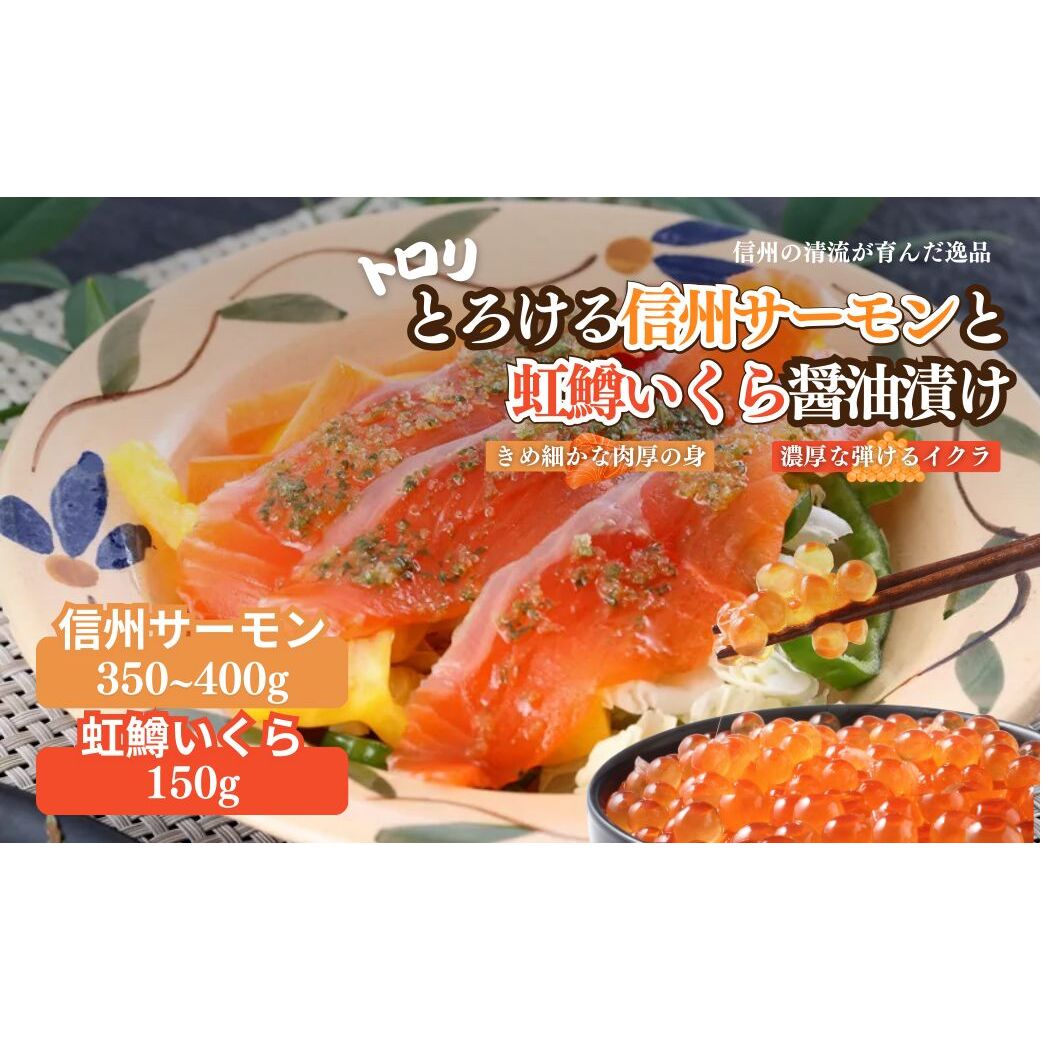 トロリとろける信州サーモン350g〜400g(虹鱒×ブラウントラウト)と虹鱒イクラ醤油漬け150g 魚貝類 簡単調理 海鮮丼 程よい脂 生食用 刺身 魚卵 魚介セット 長野県山ノ内町18000魚介・海産物