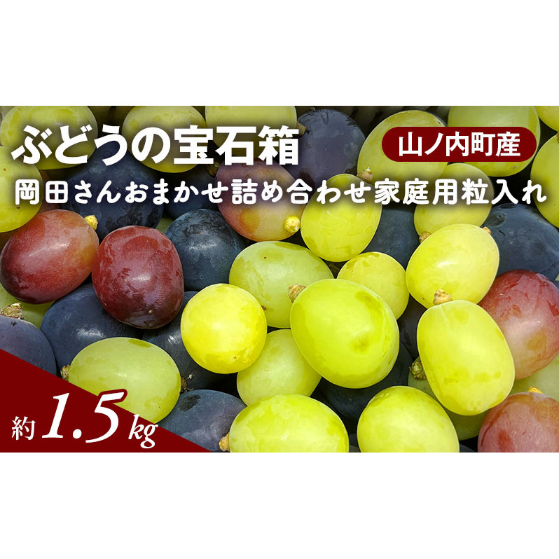 ぶどう ぶどうの宝石箱  岡田さんおまかせ詰め合わせ家庭用粒入れ約1.5kg 山ノ内町産 ブドウ 葡萄長野県山ノ内町20000果物・フルーツマスカット・ぶどう