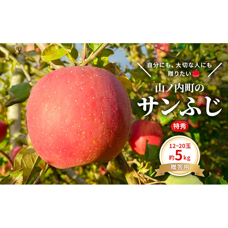 贈りたい味、笑顔届ける  山ノ内育ちのりんご サンふじ 贈答用 特秀5kg りんご 果物長野県山ノ内町23000果物・フルーツりんご・梨