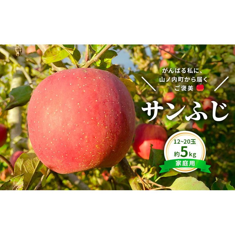 今日を癒すひと玉 私のサンふじ サンふじ 家庭用 5kg りんご 果物長野県山ノ内町19000果物・フルーツりんご・梨