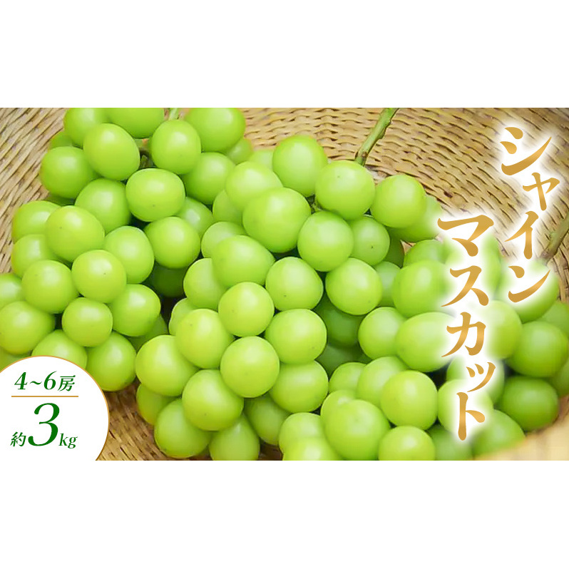 VC}XJbg 4`6[ 3kg Ԃǂ uhE  }XJbg ʕ t[c 쌧  Rm쌧Rm32000ʕEt[c}XJbgEԂǂ