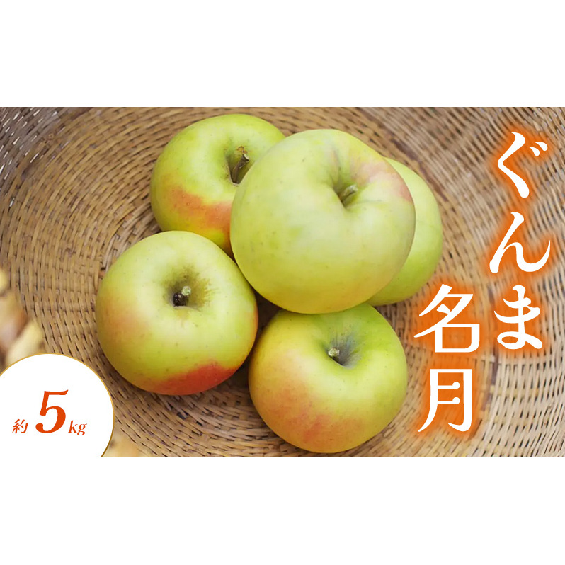 ぐんま名月 約5kg りんご リンゴ 林檎 果物 フルーツ 長野県 長野 山ノ内町長野県山ノ内町15000果物・フルーツりんご・梨
