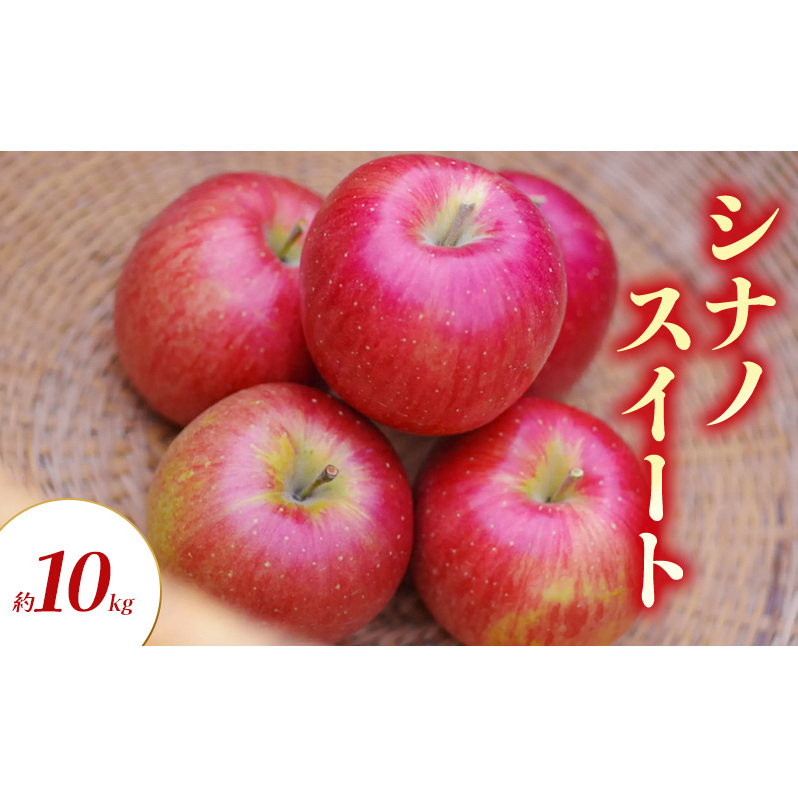シナノスイート 約10kg りんご リンゴ 林檎 果物 フルーツ 長野県 長野 山ノ内町長野県山ノ内町24000果物・フルーツりんご・梨