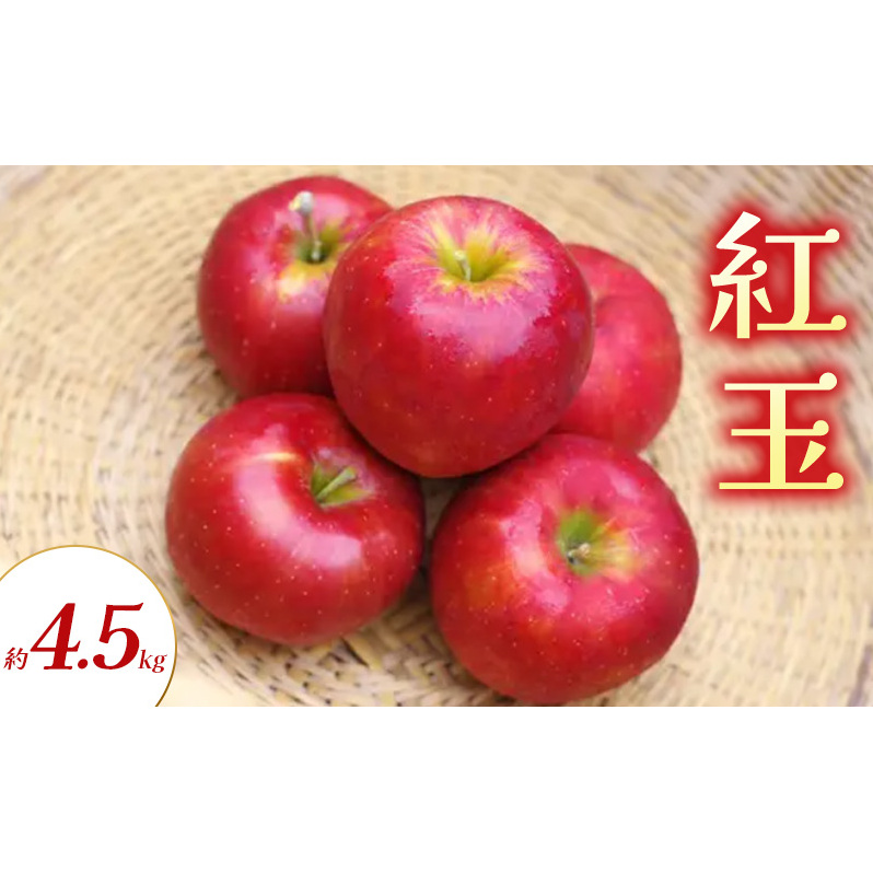 紅玉 約4.5kg りんご リンゴ 林檎 果物 フルーツ 長野県 長野 山ノ内町長野県山ノ内町15000果物・フルーツりんご・梨