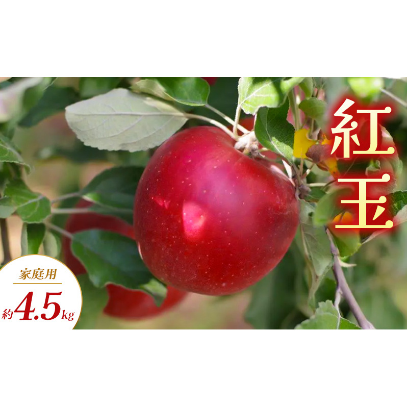紅玉 家庭用 約4.5kg りんご リンゴ 林檎 果物 フルーツ 長野県 長野 山ノ内町長野県山ノ内町12000果物・フルーツりんご・梨