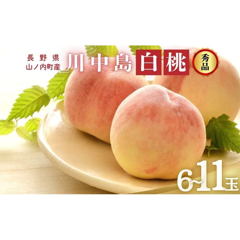 川中島白桃 秀品 約3kg 6〜11玉 桃 もも 果物 信州 長野長野県山ノ内町19000果物・フルーツもも・すもも