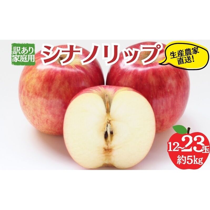 シナノリップ 訳あり家庭用 約5kg 12〜23玉 りんご 果物 訳あり 信州 長野長野県山ノ内町17000果物・フルーツりんご・梨