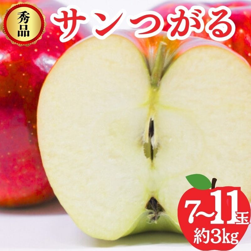 サンつがる 秀品 約3kg 7〜11玉 りんご 果物 信州 長野長野県山ノ内町17000果物・フルーツりんご・梨