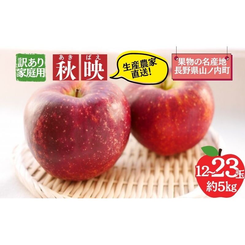 秋映 訳あり家庭用 約5kg 12〜23玉 りんご 果物 訳あり 信州 長野長野県山ノ内町17000果物・フルーツりんご・梨