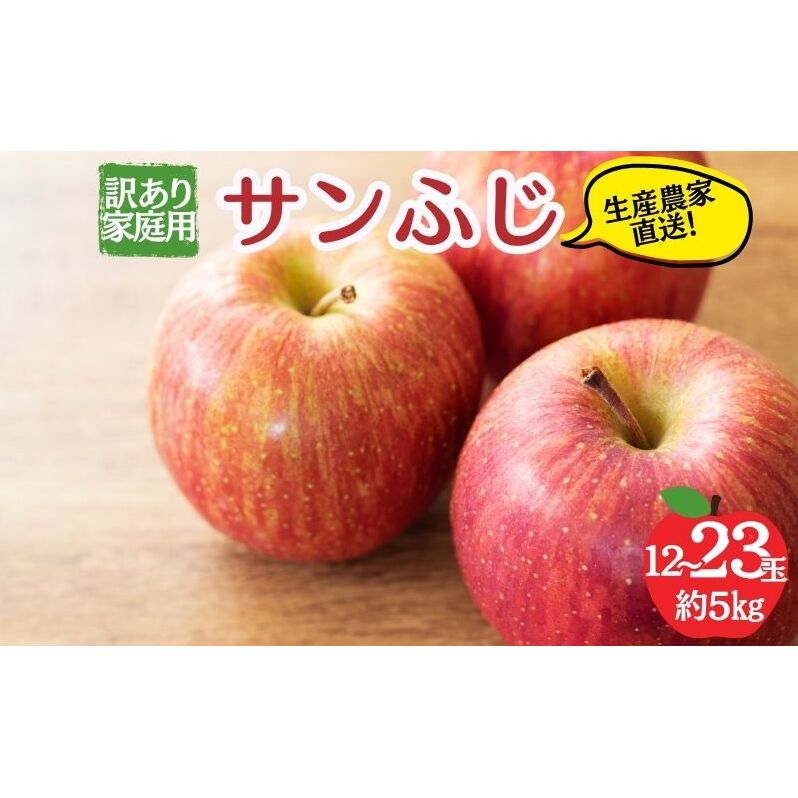 サンふじ 訳あり家庭用 約5kg 12〜23玉 りんご 果物 訳あり 信州 長野長野県山ノ内町19000果物・フルーツりんご・梨