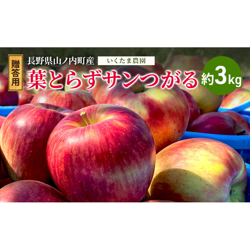 【贈答用】葉とらずサンつがる 約3kg リンゴ りんご フルーツ 果物 お取り寄せ 長野県 山ノ内町長野県山ノ内町14000果物・フルーツりんご・梨