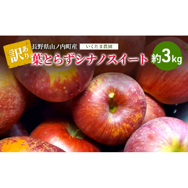 【訳あり】シナノスイート 約3kg リンゴ りんご フルーツ 果物 お取り寄せ 長野県 山ノ内町長野県山ノ内町13000果物・フルーツりんご・梨