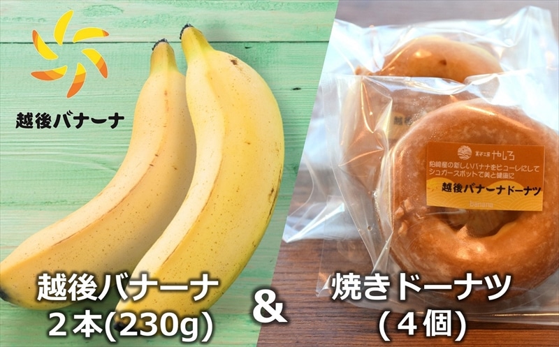 【雪国新潟産バナナ】越後バナーナ 2本(230g)&焼きドーナツ 4個 セット新潟県柏崎市18000果物・フルーツその他 果物・フルーツ