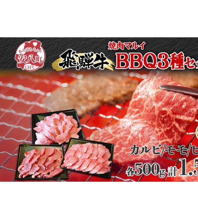 焼肉マルイ 飛騨牛BBQセット 約1.5kg セット カルビ ヒレ肉 モモ肉 お肉 肉 お家で簡単 本格 国産 国産牛 牛 牛肉 和牛 秘伝のたれ タレ付き 焼くだけ簡単 お取り寄せグルメ  岐阜県 安八町岐阜