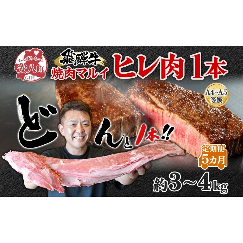 飛騨牛 ヒレ肉 ブロック A4〜A5等級 1本5ヵ月定期便約3〜4kg  3割×5 ヒレ シャトーブリアン 肉 牛肉 ブランド牛 お肉 和牛 贅沢 お取り寄せ ご褒美 ステーキ 豪華 グルメ 焼肉 BBQ パーティー ギ