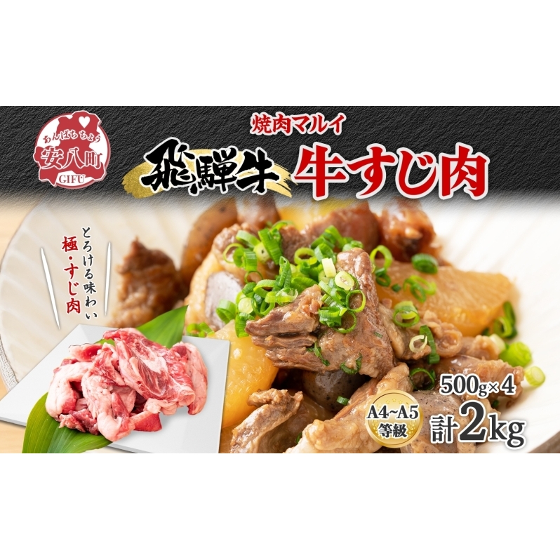 飛騨牛スジ肉 約2kg お肉 牛肉 和牛 牛 国産 国産牛 ブランド牛 ブランド和牛 赤身 煮込み カレー シチュー ビーフシチュー おでん どて煮 柔らか とろとろ とろける 旨味 贅沢 本格 冷凍 小分