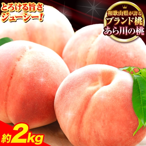【先行予約】桃 もも あら川の桃 和歌山県産 紀州 の名産 旬の桃厳選 約2kg 5-8玉入り 《2026年6月中旬-8月中旬頃出荷》【一部配送不可地域あり】 果物 フルーツ お取り寄せ 和歌山 予約 あか