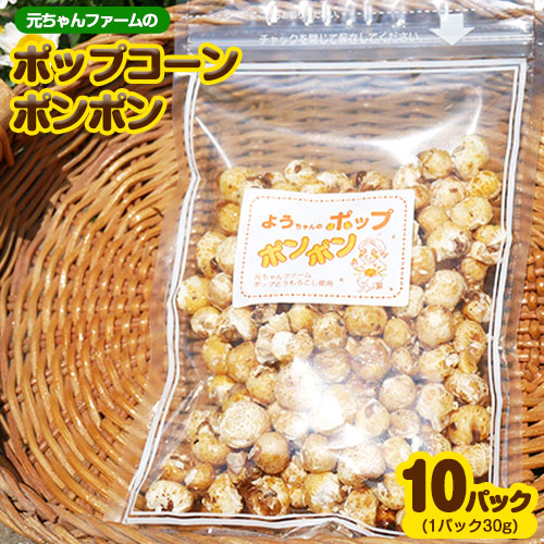 ポップコーンポンポン 元ちゃんファーム《30日以内に出荷予定(土日祝除く)》 和歌山県 紀の川市 トウモロコシ 菓子 ポップコーン ---wsk_gncpcpp_30d_22_14000_300g---和歌山県紀の川市14000菓子・スイ