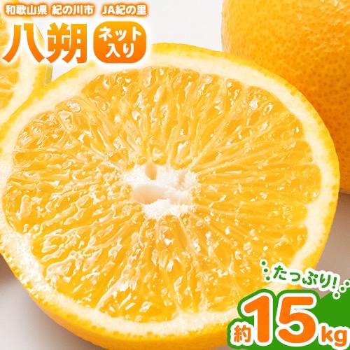【先行予約】八朔 ネット入 約15kg 3L-Lサイズ  JAわかやま 紀の里地域本部 《2026年1月上旬-3月末頃出荷》 和歌山県 紀の川市 果物 フルーツ 柑橘 はっさく---wsk_jak20_1j3m_24_22000_15kg---和歌山県紀