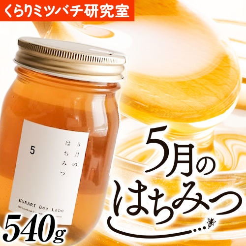 5月のはちみつ 540g KURARI くらりミツバチ研究室《90日以内に出荷予定(土日祝除く)》和歌山県 紀の川市 蜂蜜 ハチミツ 非加熱 純正生はちみつ トースト ヨーグルト---wsk_krrmhoney_90d_22_12000_1d---和