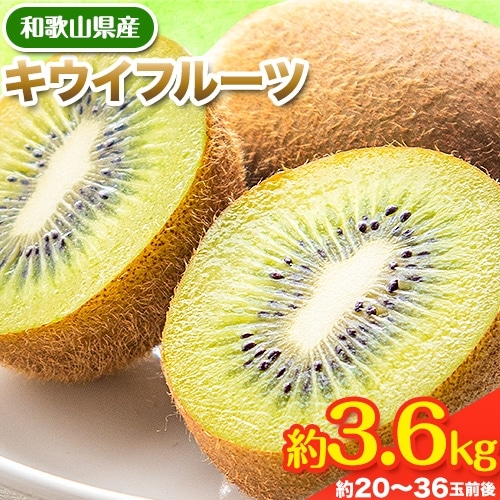 先行予約 和歌山県産 キウイフルーツ 約3.6kg 約20玉〜36玉前後 前商店《2026年2月上旬-3月末頃出荷》キウイ キウイフルーツ フルーツ スイーツ 果物 ---wsk_mes18_2j3m_25_14000_20t---和歌山県紀の川市1
