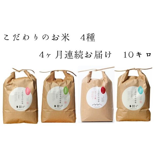 【4カ月連続でお届け】北本農場 「こだわりのお米」 令和7年度産 精米 10kg 石川県能美市135000米・パン白米