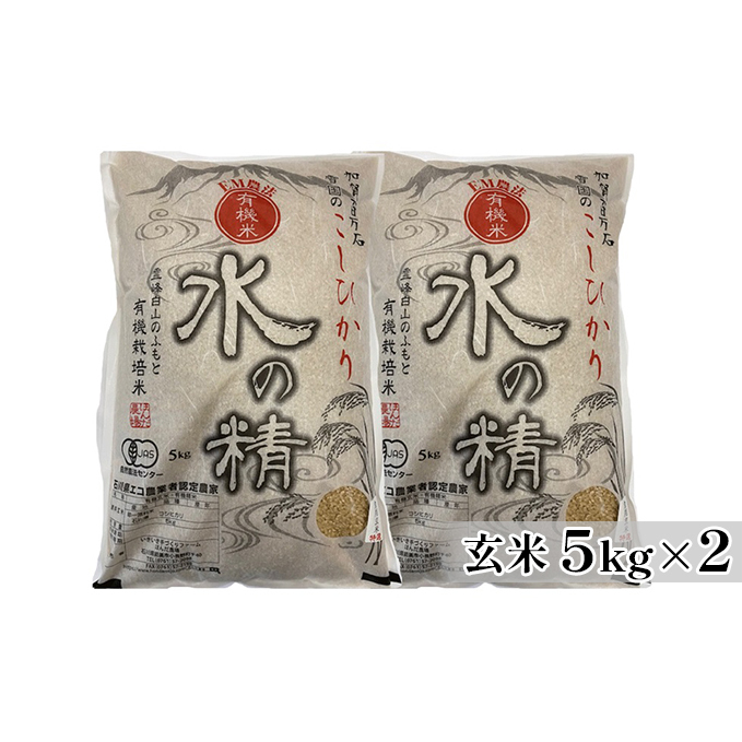 有機米こしひかり「水の精」玄米5kg×2個 お米 コシヒカリ 石川県産 石川県能美市50000米・パン白米