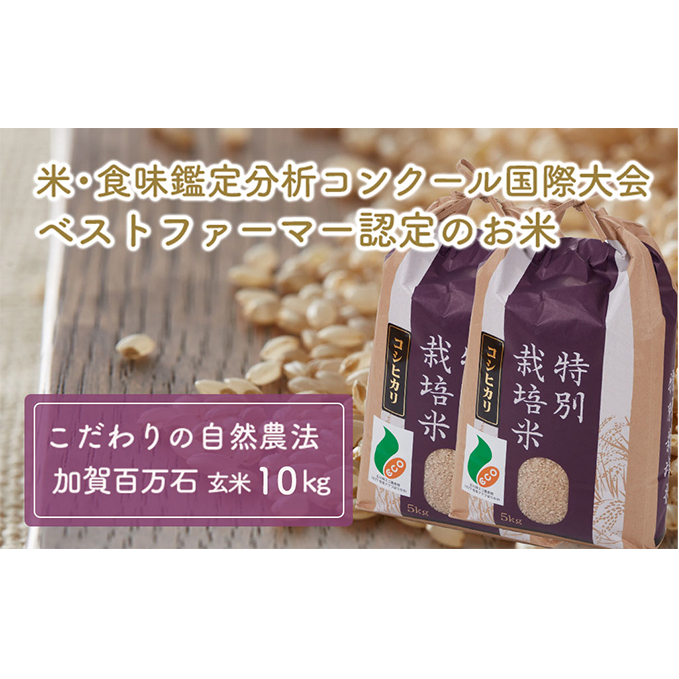 【令和7年度産】加賀百万石特別栽培米コシヒカリ玄米10kg 石川県能美市39000米・パン白米