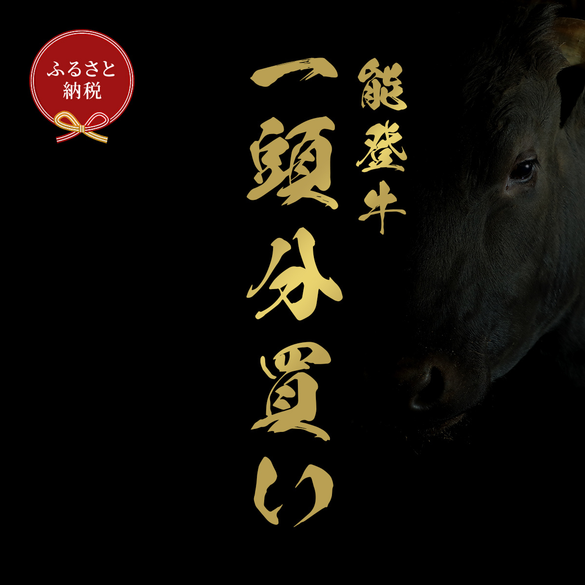 肉 【和牛セレブ】能登牛 一頭買い(一括配送)22個口 黒毛和牛 霜降り ギフト 石川県 能美市石川県能美市18000000肉牛肉