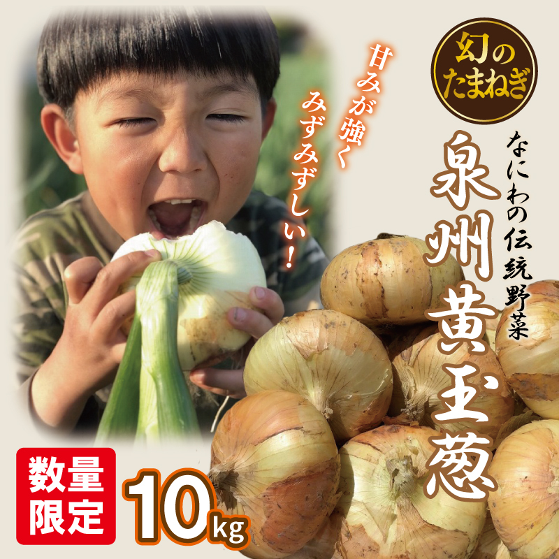 【先行予約】 数量限定 幻のたまねぎ 泉州黄玉ねぎ 10kg【新鮮 野菜 泉佐野産 茄子 やさい 高評価 数量限定】 010B259大阪府泉佐野市11000野菜・きのこ玉ねぎ・ねぎ