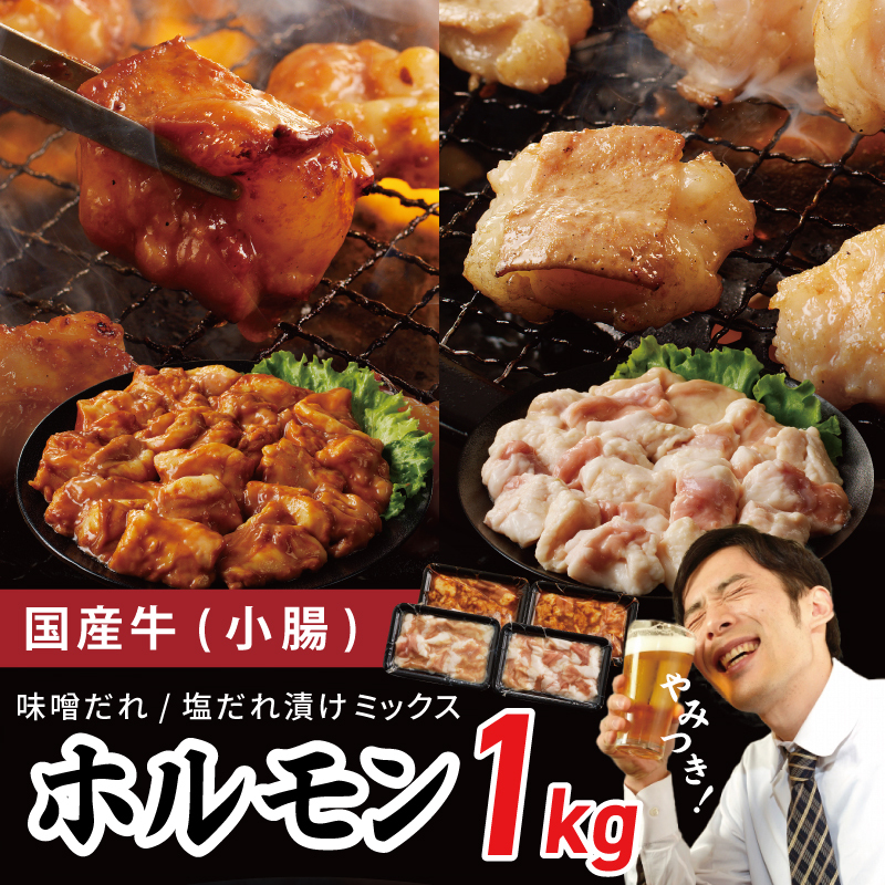 国産 牛肉 ホルモン 1kg 味付けMIX 味噌/塩だれ 焼肉用 小分け 250g×4P【牛肉 焼肉用 焼くだけ 小分け BBQ やきにく 数量限定】 099H3871大阪府泉佐野市9000肉牛肉