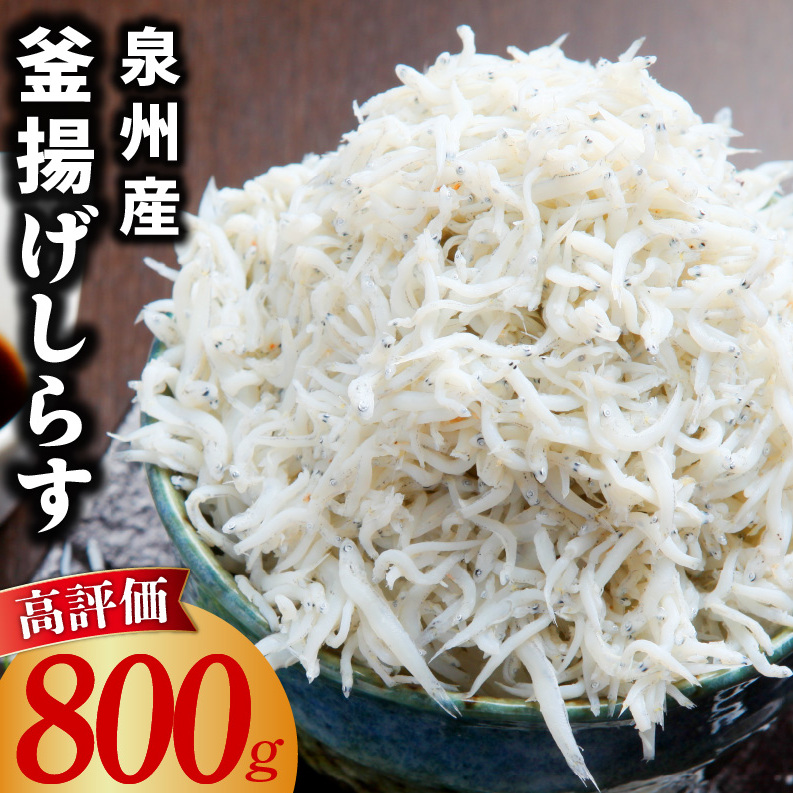 yNxQzg炷 800gy炷 VX  400g×2P Y CN  т̂ ܂ 炷 Ⓚz 010B1757{򍲖s10000ECY
