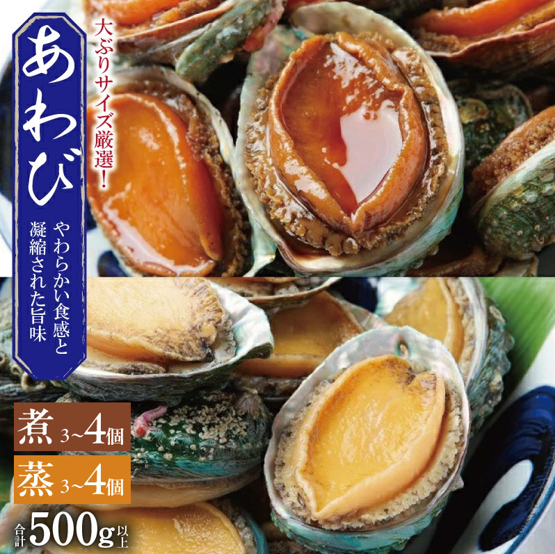 大ぶりサイズ!あわび(蒸し・煮)合計 500g以上 099H1508大阪府泉佐野市26000魚介・海産物貝類