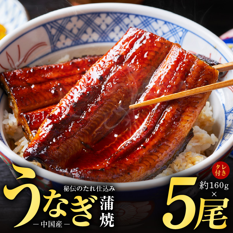 秘伝のたれ仕込み うなぎ蒲焼 合計800g(約160g×5尾)鰻 ウナギ 中国産 温めるだけ 簡単 レンジ調理 ふっくらふわふわ 炭火焼き 備長炭 手焼き kgp0020大阪府泉佐野市21000魚介・海産物うなぎ