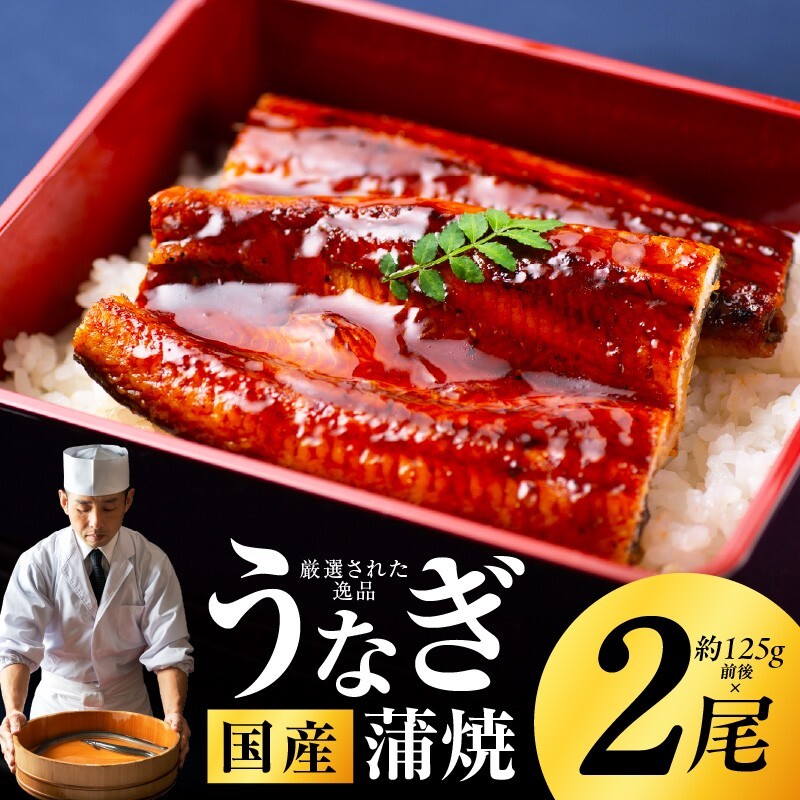 国産うなぎ 約125g×2尾 秘伝のたれ 蒲焼 鰻 ウナギ 有頭 炭火焼き 備長炭 手焼き kgp0039大阪府泉佐野市13000魚介・海産物うなぎ