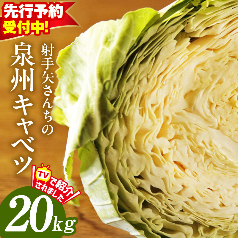 【先行予約】射手矢さんちの泉州キャベツ 20kg【新鮮 野菜 泉佐野産 やさい 射手矢農園 高評価 数量限定 TVで紹介!】 G1312大阪府泉佐野市16000野菜・きのこその他 野菜
