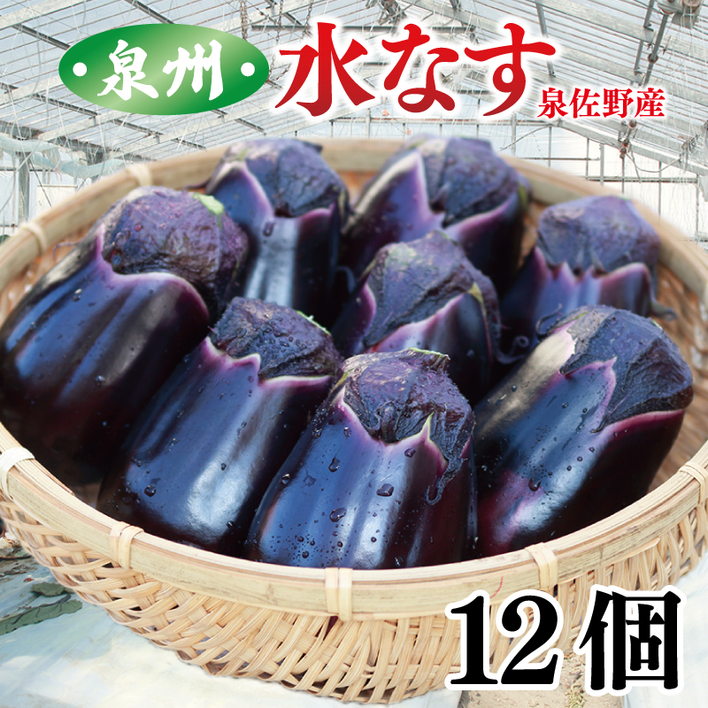泉州 水なす 12個【ハウス栽培 新鮮 野菜 泉佐野産 茄子 数量限定】 010B1061大阪府泉佐野市11000野菜・きのこその他 野菜